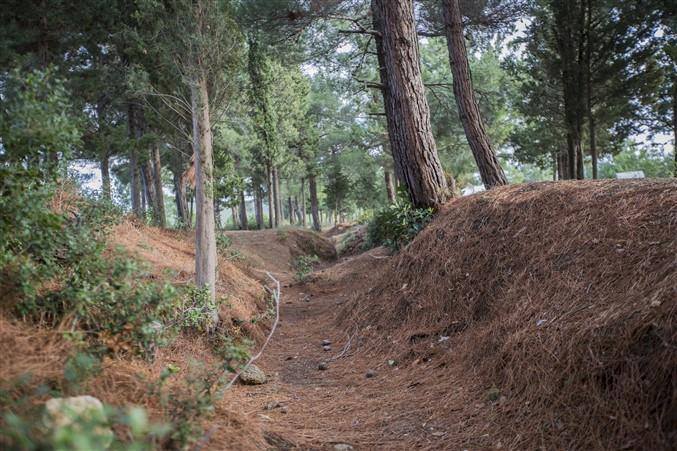 Kırmızı Sırt Siperleri